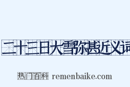 二十三日大雪弥甚近义词是什么意思的图片